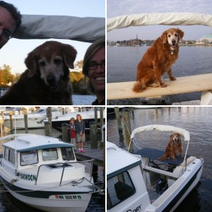 Stella left on boat