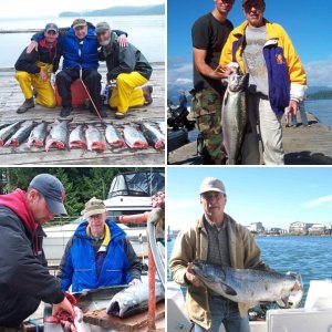 chinook salmon