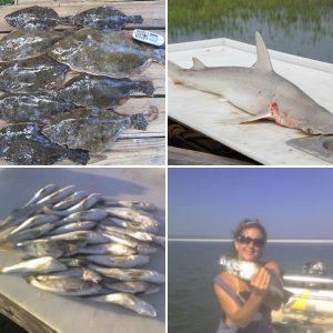 Flounder