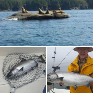 Neah Bay - Best King I\'ve caught for a long time