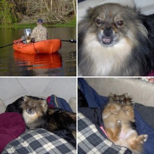 Poo Bear
Cow dog as 2nd Mate ???????