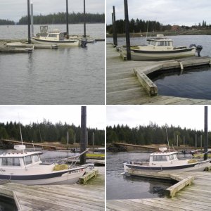 Picture 001
