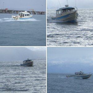 (catdogcat) Dang nice boat