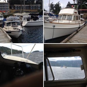 C Dory fleet.  Princess Louisa June 2014