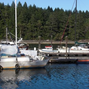 Thetis Island marina.