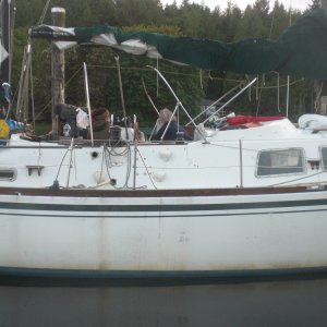 Neighbours serenaded the marina with Irish folk songs.