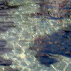 St Johns trip 088