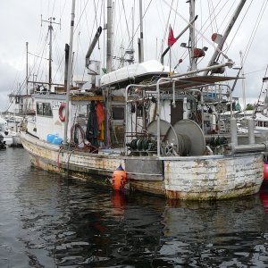 What you could be rafted to at the govt dock