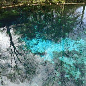 Fanning Springs.  30 ft+ deep.  Around a million gallons a day flow.