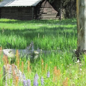 Old log building near marina