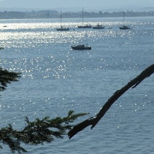 C-Dancer anchored at Sidney Spit