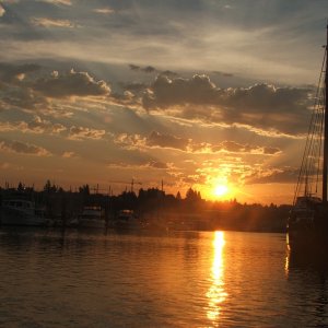 Everett Marina Dawn
