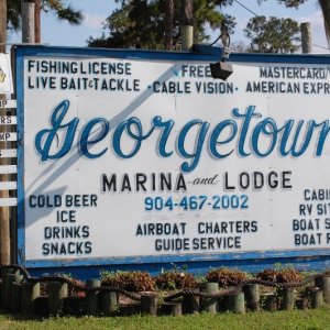 Media 'Georgetown Marina and Campground' in album 'Alligator'