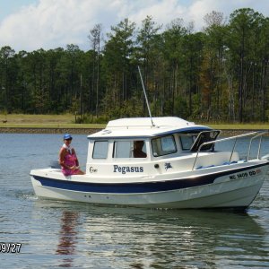 Pegusas at River Dunes.