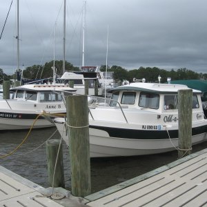 IMG 0842