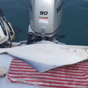 Media '' in album '1988 CD22 Cruiser Fresh bottom paint May 2016'
