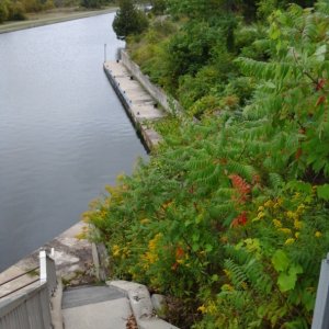 Healey Falls lock 16