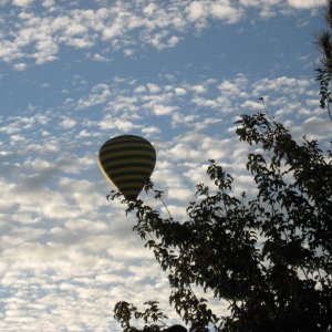 Media 'Having coffee on the deck at dawn, visitor overhead Sedona Az' in album 'Chapel near Sedona peaceful setting'