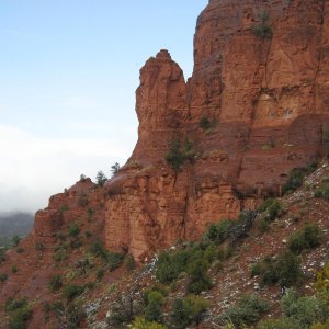 Media 'Red Rocks near chapel Sedona AZ' in album 'Chapel near Sedona peaceful setting'