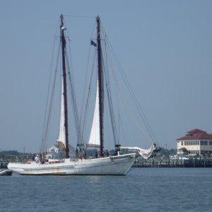 Media 'P1000770' in album 'Junior the Dink, anchored near the Cape May Coast Guard station. Great spot continuous boat traffic in a no wake zone. About  one mile dink ride to The Loster House Restaurant'