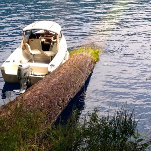 Lake Crescent, Olympic Peninsula