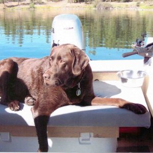 Pete fishing