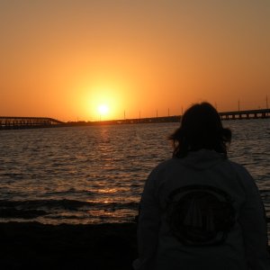 Media 'Bahia Honda sunset.' in album 'Trying for a tropical mood shot while in SC.'