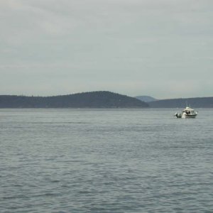 DSCN0296.JPG