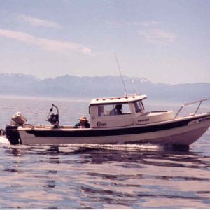 Sensei and Olympic Mountains.jpg