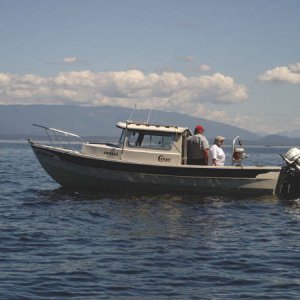 sj21.jpg