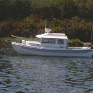 sj74.jpg