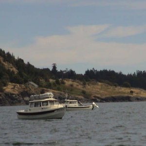 Media 'Trolling for Orcas.JPG' in album '001_1.JPG'