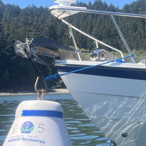 Mooring Ball hookup