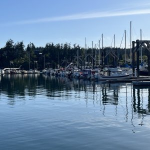 Friday Harbor C-Dorys