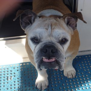 Lucy