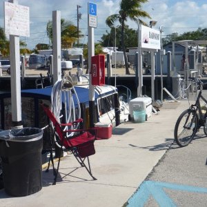 Media 'We turned our slip area into a ghetto with bicycles coolers grill. I used our induction cooker on the fish table which was equipped with an 120 volt outlet. Free ice over at the gray building in the backround' in album 'Parrot at fishing charter office'