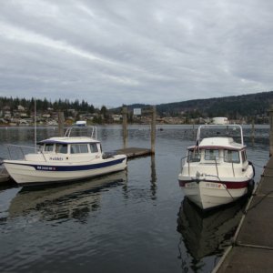 10 January Lake Whatcom
Hobbes & R-Matey