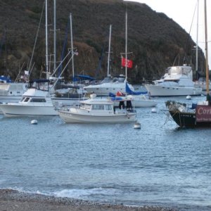 Media 'Isthmus Cove' in album 'Isthmus Cove'