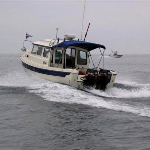 Sealife 5 goin' ta Catalina