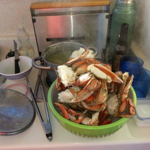 Cooking Crab