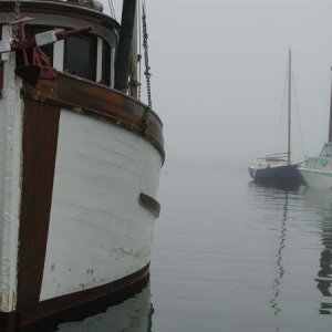 Fishing Boat Tofino B.C. Harbor