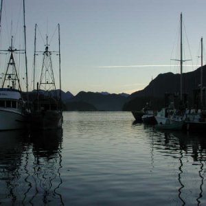 Fishing Boats Tofino Harbor