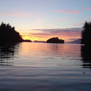 Media 'Effingham Island - Barkley Sound' in album 'Deception Pass'