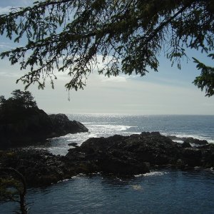 Amphitrite Point - Ucluelet