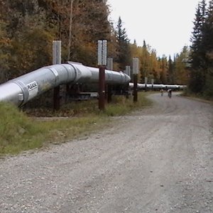 Media 'Alaska pipeline waypoint  - heading home' in album 'First launch - Chena River'