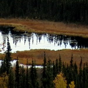 Unamed lake on Eielson AFB near the ski lodge