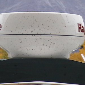 Skeeters beware!