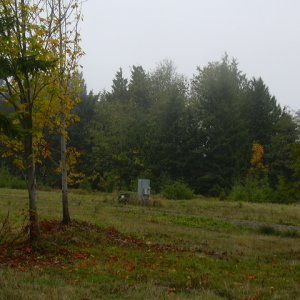 Bill and Dana\'s property