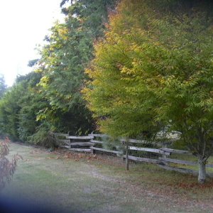 Fall at Freshwater Bay