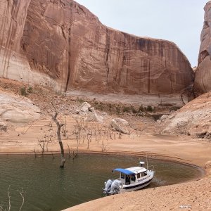 Near the mouth of the Escalante set up in this cove for night then with much difficulty had to leave with high wind & sandstorm blowing into boat.